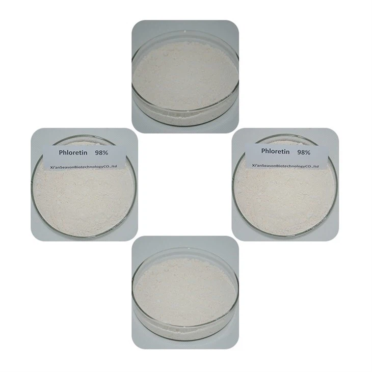 Phloretin Powder